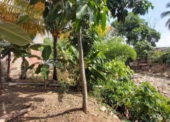 Familias de La Paz: Queremos ser reubicados antes de que comiencen las lluvias