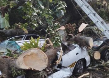 Árboles caen sobre vehículos en cola para surtir combustible en Tabay
