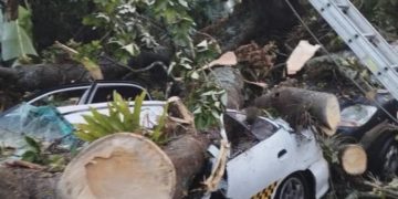 Árboles caen sobre vehículos en cola para surtir combustible en Tabay