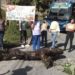 Vecinos de la cuenca del Chama cerraron la vía exigiendo reparación de bote de aguas negras