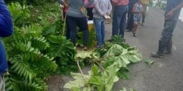 El río Chama avanza sobre la vialidad del sector El Dique en El Vigía