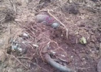Derrumbe le quitó la vida a tres personas en Guaraque