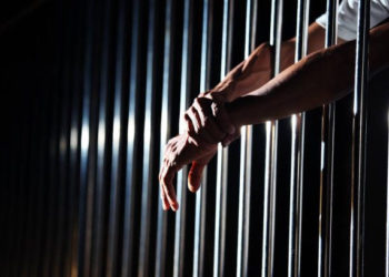 Cepaz contabilizó 523 casos de persecución  y criminalización en 2022