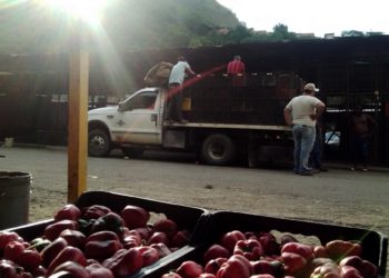 La difícil situación por la que atraviesan los productores agrícolas de Carache