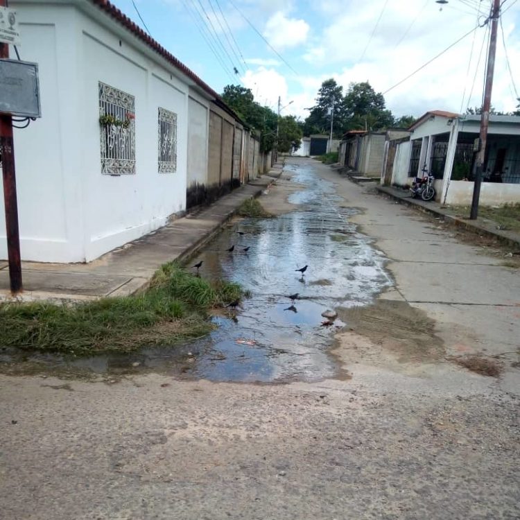 Obstáculos colocados en las calles de Sabana de Mendoza  donde corren libremente las aguas negras