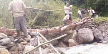 Construyen puente improvisado ante crecida de río en Boconó
