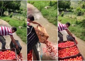 MP investigará a agricultores que botan sus cosechas ante falta de gasolina