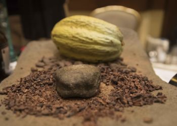 Siete cooperativas de Nicaragua dan un «salto cacaotero» con proyecto financiado por Suiza