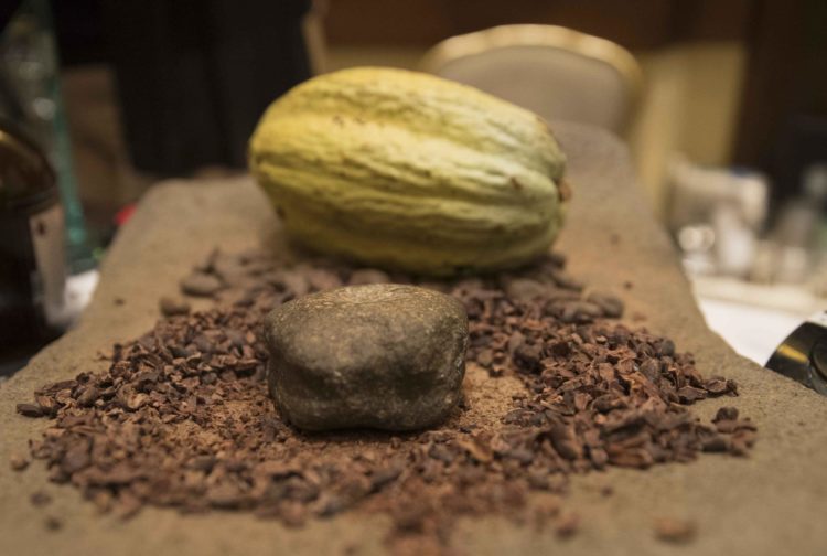 Foto de archivo.Vista de cacao. EFE/ Jorge Torres