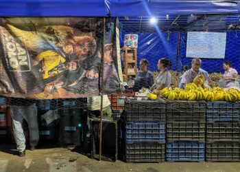 La falta de medios pone en jaque a los agricultores venezolanos