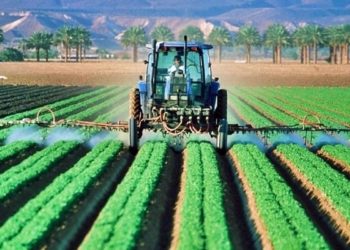 AGROINDUSTRIA,  COMBUSTIBLE y ELECTRICIDAD  | Por Isaías Márquez