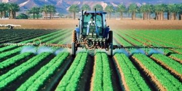 AGROINDUSTRIA,  COMBUSTIBLE y ELECTRICIDAD  | Por Isaías Márquez