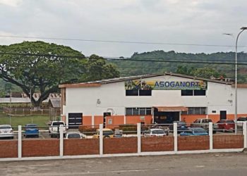 Táchira | Asoganort realizará subasta ganadera a beneficio de la Fundación de la Familia Tachirense