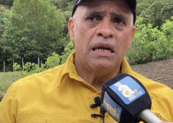 Táchira ocupa el séptimo lugar  en producción de café en Venezuela