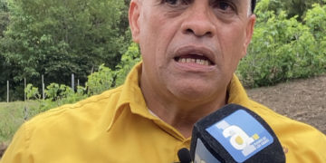 Táchira ocupa el séptimo lugar  en producción de café en Venezuela