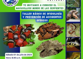 En Táchira dictan taller para diferenciar serpientes venenosas