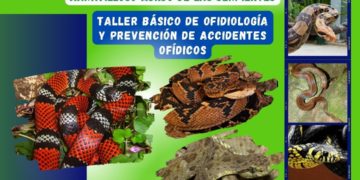 En Táchira dictan taller para diferenciar serpientes venenosas
