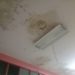 Denuncian deplorables condiciones de la habitación de seguridad y resguardo del hospital de Boconó