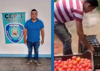 Tribunal otorga libertad condicional a agricultor que difundió video botando tomates