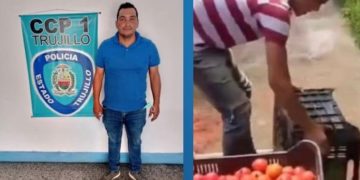 Tribunal otorga libertad condicional a agricultor que difundió video botando tomates