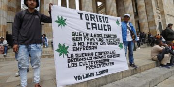 Colombia decide este martes si legaliza la marihuana recreativa en un debate contrarreloj