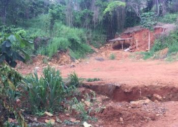 Trabajar la minería: Una opción de sustento y un riesgo de muerte en Guyana