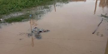 Pedro Daboín: Gobernador Gerardo Márquez no ha cumplido  promesa de asfaltar  calles del Kilómetro Veintitrés