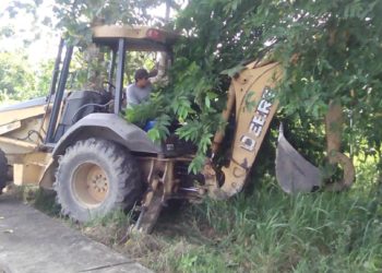 Importantes logros para la comunidad de la Ceiba a través de  la Alcaldía de  este municipio