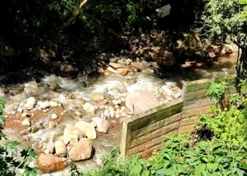 Táchira | Vecinos del barrio Guzmán Blanco piden limpieza y dragado de quebrada la Bermeja 