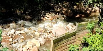 Táchira | Vecinos del barrio Guzmán Blanco piden limpieza y dragado de quebrada la Bermeja 