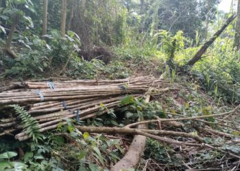 Denuncian la invasión de una finca en Táchira con el aval de un consejo comunal