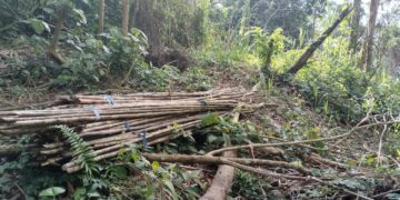 Denuncian la invasión de una finca en Táchira con el aval de un consejo comunal