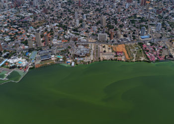 La contaminación pinta de verde al Lago de Maracaibo