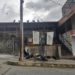 Vecinos denuncian que zamuros disfrutaron de un festín de basura en pleno centro de Boconó