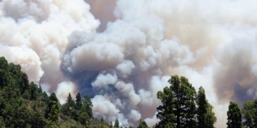 El incendio de Canarias avanza sin control sobre 4.500 hectáreas, con 2.000 evacuados