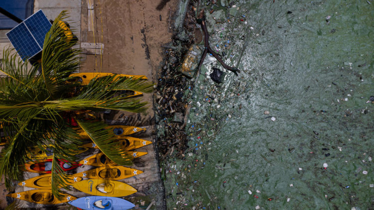 Fotografía que muestra una playa contaminada por desechos, derrames de petróleo y la proliferación de un verdín sobre las aguas del Lago de Maracaibo, el 12 de julio de 2023, en el estado Zulia (Venezuela). EFE/Henry Chirinos