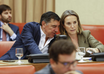 El conservador Núñez Feijóo intentará la investidura pese a la «dificultad numérica» si se lo pide Felipe VI