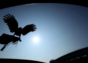 Declaran oficialmente el fenómeno de El Niño a nivel global, con probable subida de temperaturas este año