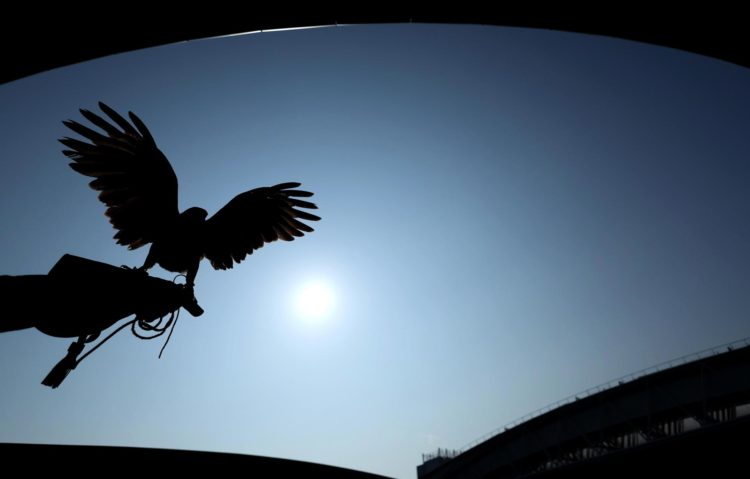 Imagen bajo el sol de Ruffus, el halcón encargado de disuadir a las palomas sobre las pistas de tenis de Wimbledon (Tenis, Reino Unido, Londres) EFE/EPA/NEIL HALL EDITORIAL USE ONLY