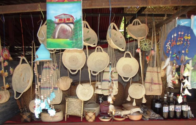 Desplazamiento, el temor de una comunidad Jivi por la explotación de coltán