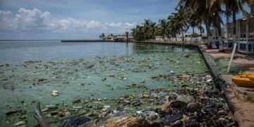 Venezuela limpiará unas 600 playas afectadas por la contaminación del Lago de Maracaibo