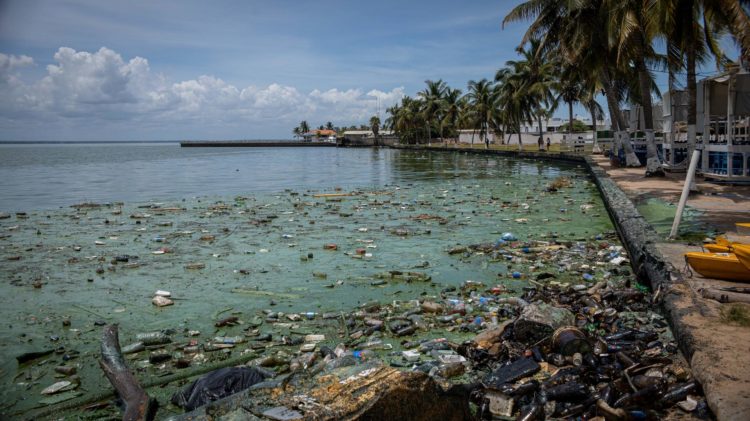 Fotografía que muestra una playa contaminada por desechos, derrames de petroleo y la proliferación de un verdín sobre las aguas del Lago de Maracaibo, el en el estado Zulia (Venezuela). EFE/ Henry Chirinos