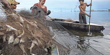 Cuenca del lago de Maracaibo | Por: Isaías Márquez