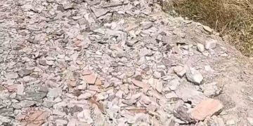 El papa Francisco entregó el Palio Arzobispal al cardenal Porras y monseñor Helizandro Terán