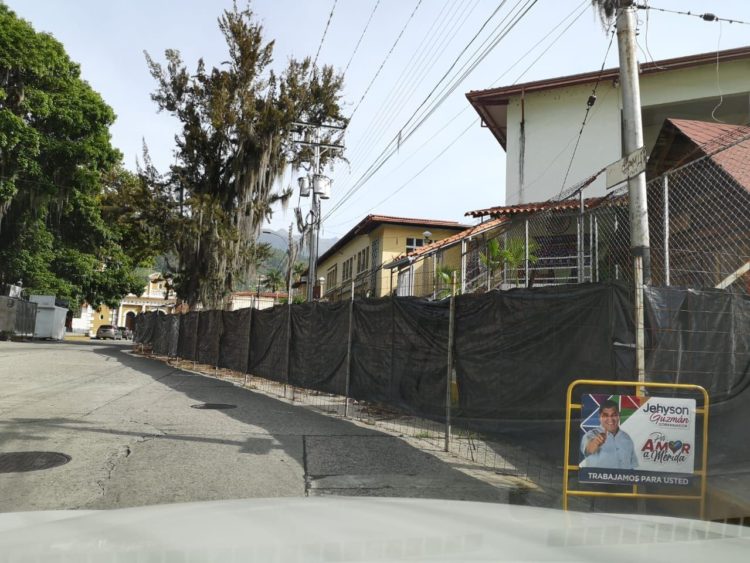 Los vecinos se quedaron perplejos y boquiabiertos al ver desaparecer los pinos frente a la U.E. Vicente Dávila en el sector Milla de Mérida