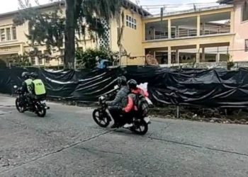 Los vecinos se quedaron perplejos y boquiabiertos al ver desaparecer los pinos frente a la U.E. Vicente Dávila en el sector Milla de Mérida