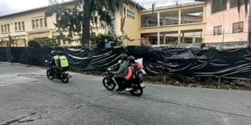 Los vecinos se quedaron perplejos y boquiabiertos al ver desaparecer los pinos frente a la U.E. Vicente Dávila en el sector Milla de Mérida