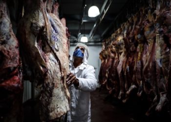 Argentina suspende las exportaciones de carnes para negociar los precios internos