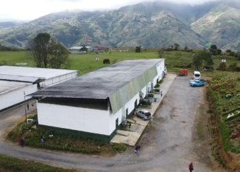 Champiñones Gran País: trabajo, compromiso y calidad para Venezuela