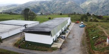 Champiñones Gran País: trabajo, compromiso y calidad para Venezuela